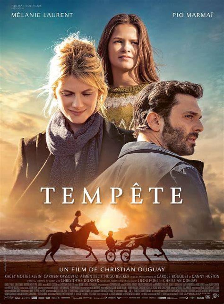 Cat&eacute;gories et correspondance avec le ton d&rsquo;un film ou d&rsquo;une s&eacute;rie
