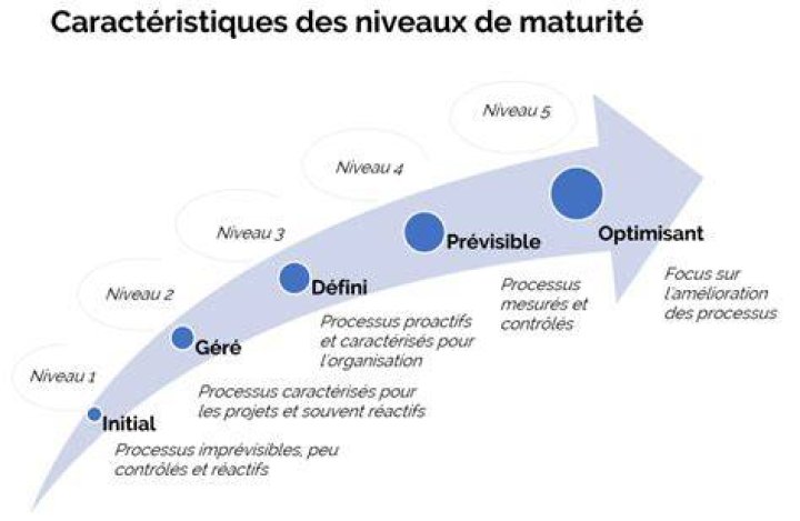 Adapter une approche selon la maturit&eacute; et les contraintes