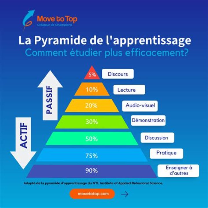 Organisation et r&eacute;vision pour approfondir
